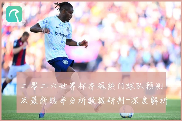 二零二六世界杯夺冠热门球队预测及最新赔率分析数据研判-深度解析